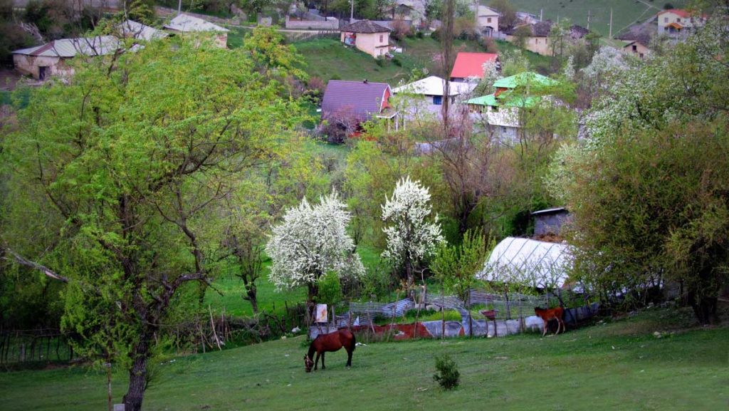 سرمایه گذاری شمال