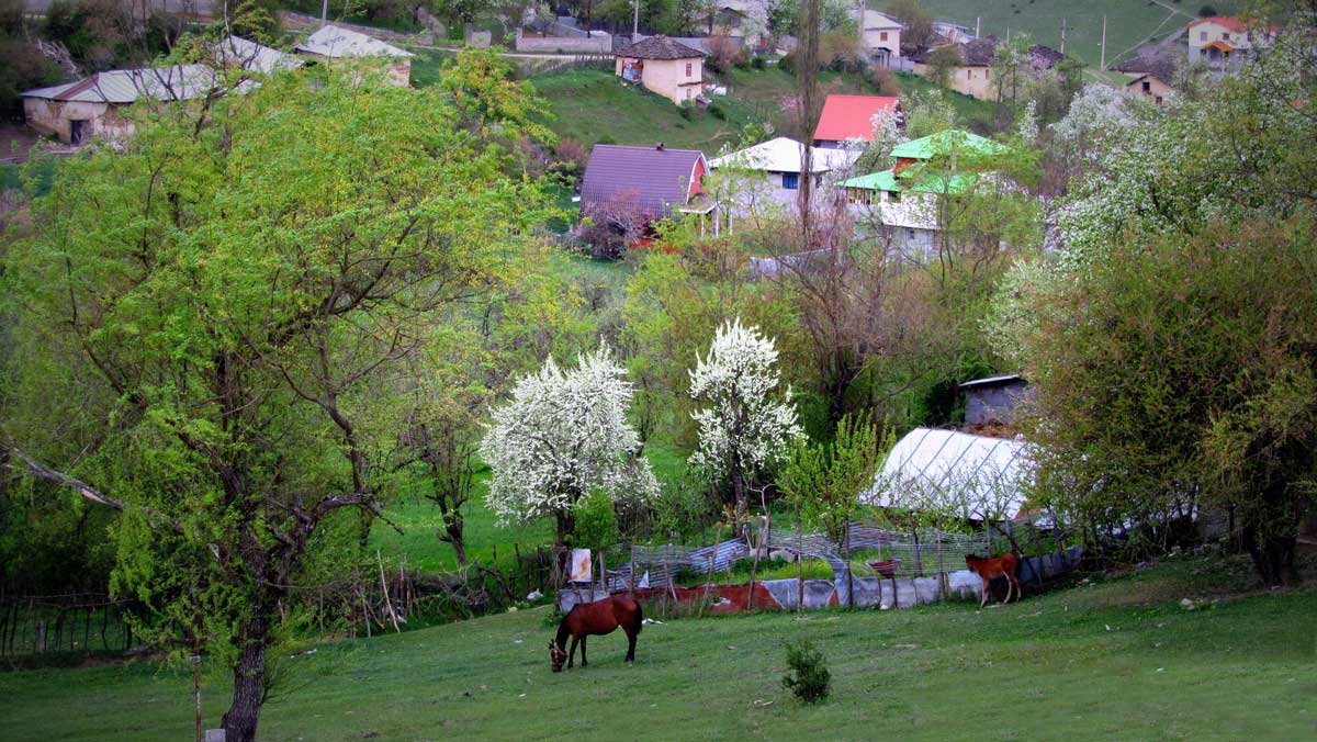 سرمایه گذاری شمال